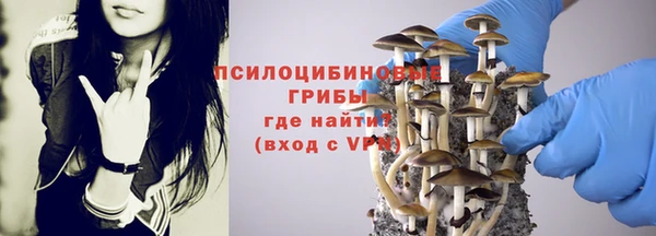 эйфоретик Липки