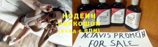 герыч Алексин