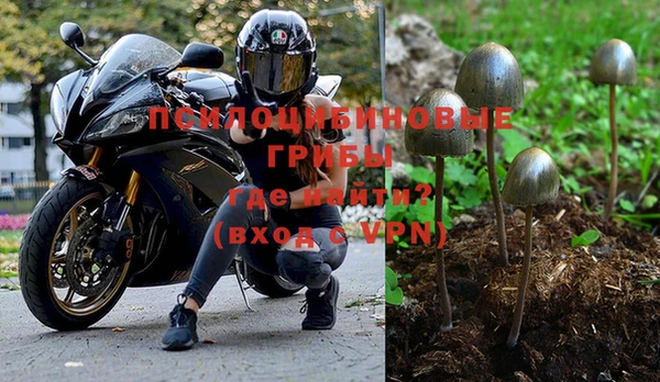 эйфоретик Липки
