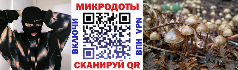 Галлюциногенные грибы Magic Shrooms  Новокузнецк 
